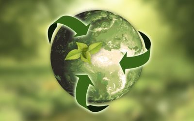 Raising awareness of environmentally sustainable practices